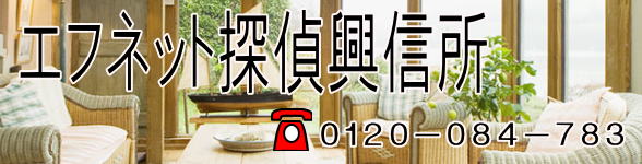 �G�t�l�b�g�T�㋻�M���t���[�_�C����0120-084-783