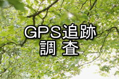 GPS�ǐՒ���